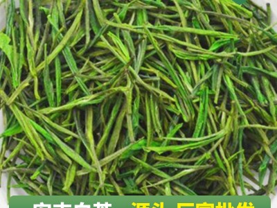 酒店饭店茶楼棋牌室招待用茶2022浙江安吉白茶新茶高山绿茶批发图5