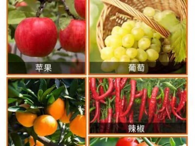 果蔬防晒剂防日灼果太阳强光气灼农用补钙膨果着色量大优惠500克图5
