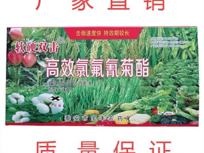 厂家直销5ml针剂杀虫剂高效氯氟氰菊酯 效果好 击倒快农作物害虫图2