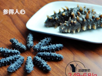 俄罗斯进口淡干海参酒店餐饮水产品干制海参肉厚海参干货大量批发图4