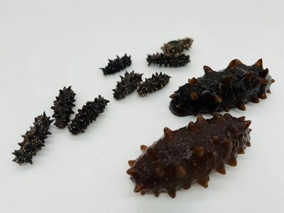 俄罗斯进口食品海参干货 水产品海参干餐饮食材海鲜现货一件代货图4