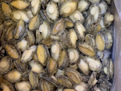 新鲜冷冻鲍鱼肉批发速冻去壳去内脏100头小鲍鱼肉大约80-100个图4