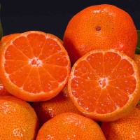 【砂糖橘】广西沙糖桔新鲜橘子批发薄皮水果非蜜桔蜜橘2-10斤