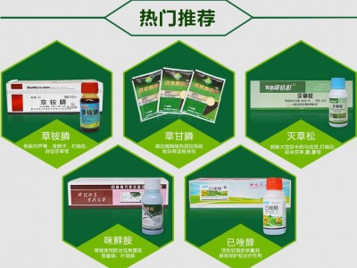 杂竹净75%环嗪酮颗粒杀大树竹子烂根剂酸枣灌木杂草芦苇除草剂50g图5