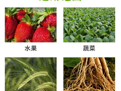 中量元素水溶肥糖醇钙流体钙叶喷滴灌水果蔬菜水溶性肥料批发图2