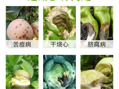 中量元素水溶肥糖醇钙流体钙叶喷滴灌水果蔬菜水溶性肥料批发图3
