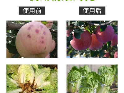 中量元素水溶肥糖醇钙流体钙叶喷滴灌水果蔬菜水溶性肥料批发图4