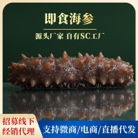 辰润海参SC工厂现货批发大连即食海参 鲜食海参500G海参干货批发