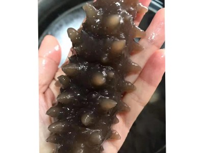 俄罗斯进口海参批发原货海参干货餐饮食材海鲜水产品淡干俄岛海参图2