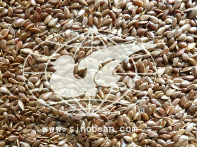 黄金亚麻籽non-genetically modified食品linseed@图2