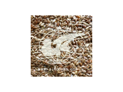 黄金亚麻籽non-genetically modified食品linseed@图5