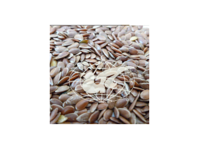 亚麻籽 亚麻籽 亚麻籽 含油籽仁linseed@图3