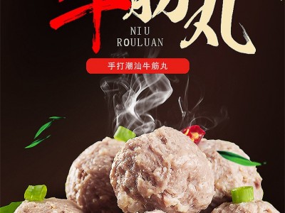 潮汕牛肉丸牛筋丸火锅丸子汕头特产餐饮饭店麻辣烫Q弹肉丸团购OEM图2
