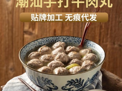 潮汕特产牛筋丸牛肉丸 250g/袋潮汕风味肉丸关东煮麻辣烫厂家批发图3