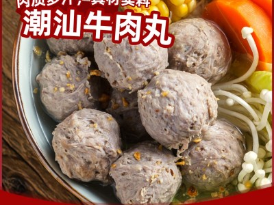 潮汕特产牛筋丸牛肉丸 250g/袋潮汕风味肉丸关东煮麻辣烫厂家批发图5