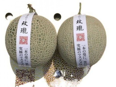 现货日本品种玫瓏蜜瓜精品2只装新鲜孕妇水果爆甜软糯玖珑瓜包邮图4