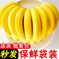 【香糯甜】云南高山香蕉新鲜水果整箱批发非小米蕉芭蕉10/2斤