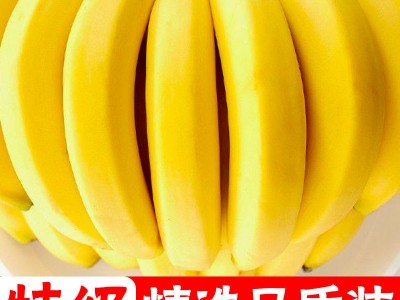 【香糯甜】云南高山香蕉新鲜水果整箱批发非小米蕉芭蕉10/2斤图5