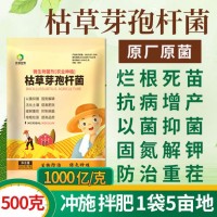 500克/包常规型 农业肥种植改良土壤促增长种植菌种 枯草芽孢杆菌