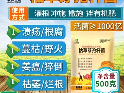 500克/包常规型 农业肥种植改良土壤促增长种植菌种 枯草芽孢杆菌图3