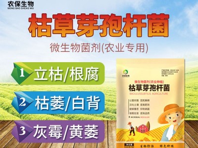 500克/包常规型 农业肥种植改良土壤促增长种植菌种 枯草芽孢杆菌图2