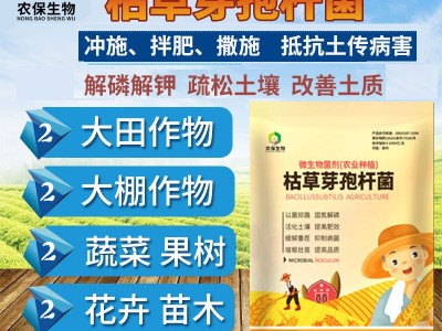 500克/包常规型 农业肥种植改良土壤促增长种植菌种 枯草芽孢杆菌图4