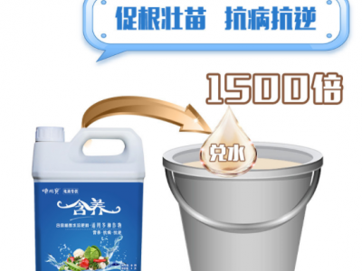 喷施宝含养含腐植酸水溶肥料叶面肥4L图5