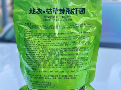 韩金根腐灵地衣枯草芽孢杆菌根腐立枯猝倒根肿病土传病害生物菌肥图3