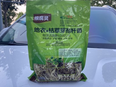 韩金根腐灵地衣枯草芽孢杆菌根腐立枯猝倒根肿病土传病害生物菌肥图2