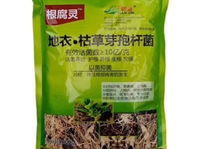 韩金根腐灵地衣枯草芽孢杆菌根腐立枯猝倒根肿病土传病害生物菌肥图5