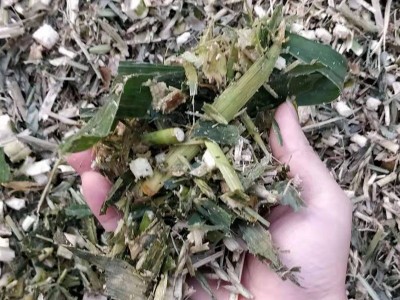 养殖用玉米秸秆青储饲料 粉碎玉米秸秆牛羊马鹅饲料草料图4