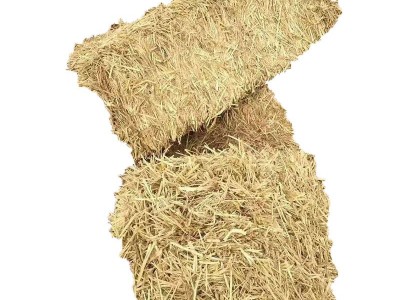 现货供应干稻草牛羊饲草稻草饲料无霉变无杂质草料垫鸭棚稻草秸秆图5