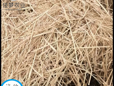 稻草饲料牛羊草料饲草打捆压块垫鸭棚稻草食用菌用稻草质量可靠图3