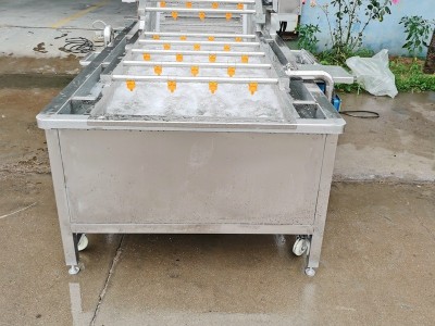 芦笋清洗机 气泡冲浪喷淋洗菜机 笋类蔬菜加工大型清洗机商用图4