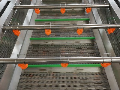 芦笋清洗机 气泡冲浪喷淋洗菜机 笋类蔬菜加工大型清洗机商用图3
