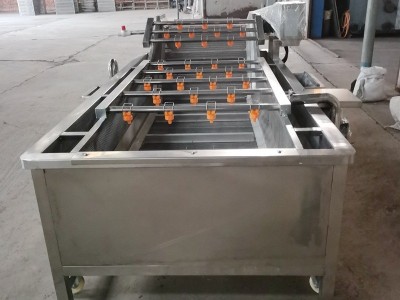 芦笋清洗机 气泡冲浪喷淋洗菜机 笋类蔬菜加工大型清洗机商用图2