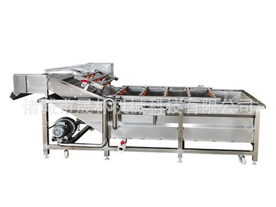 芦笋清洗机 气泡冲浪喷淋洗菜机 笋类蔬菜加工大型清洗机商用图5