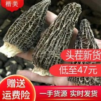 楷美高原羊肚菌菌类干货云南特产头茬2021新货干货羊肚菌一件代发