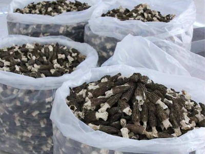 楷美高原羊肚菌菌类干货云南特产头茬2021新货干货羊肚菌一件代发图2
