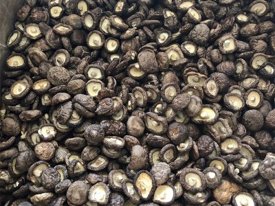 云南楷美小香菇干货南北干货珍珠菇迷你小香菇煲汤料包食材可代发图4
