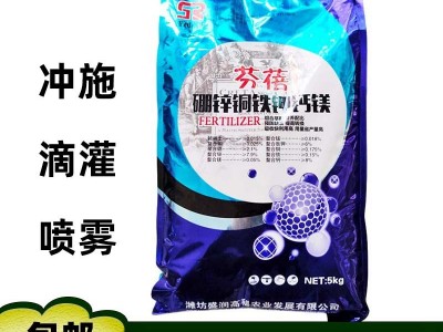 芬蓓 硼锌铜铁钾钙镁 果树蔬菜中微量元素水溶肥冲施肥 5公斤图1