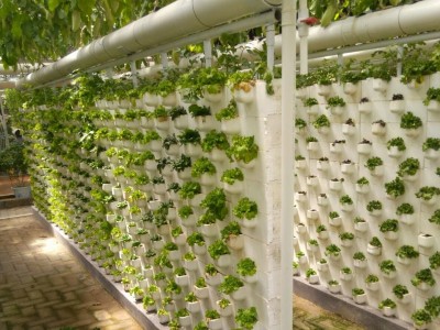 温室水培槽基质槽 无土栽培技术设备 大棚养殖设备 无土栽培工程图1