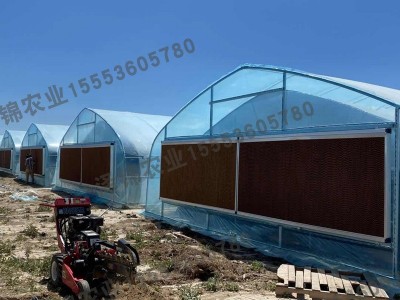 北美用双层拱棚 greenhouse 植物种植遮阳棚定制外贸阳光房图1