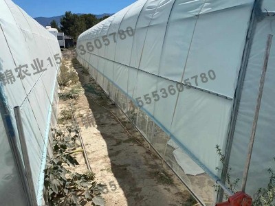 北美用双层拱棚 greenhouse 植物种植遮阳棚定制外贸阳光房图3