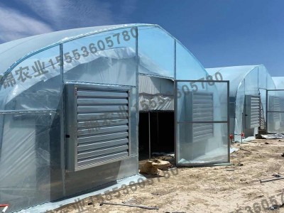北美用双层拱棚 greenhouse 植物种植遮阳棚定制外贸阳光房图2