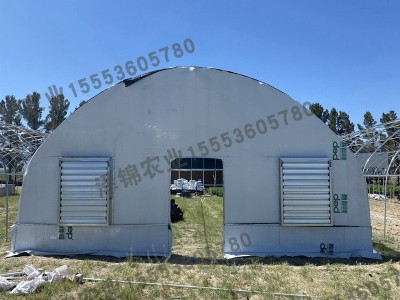 北美用双层拱棚 greenhouse 植物种植遮阳棚定制外贸阳光房图5