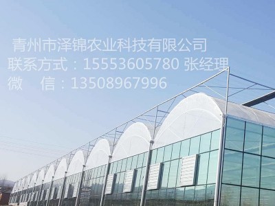 加工定制纹络式玻璃温室 智能玻璃温室 温室餐厅 温室景观搭建图1