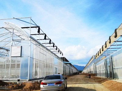加工定制纹络式玻璃温室 智能玻璃温室 温室餐厅 温室景观搭建图3