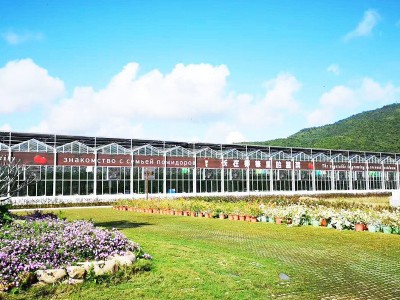 加工定制纹络式玻璃温室 智能玻璃温室 温室餐厅 温室景观搭建图4