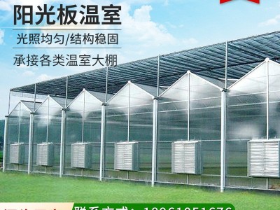 阳光板大棚 生态农业育苗温室大棚 智能连栋阳光板光伏温室大棚图1